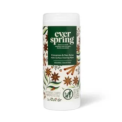 Cinnamon & Star Anise Multi-Surface Cleaning Wipes - 35ct - Everspring™