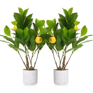 Orieon 2 Pack 19.7" Artificial Lemon Trees, Faux Potted Plants for Home, Kitchen, Living Room, Office Decor - 1 of 4