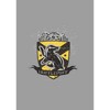 Boy's Harry Potter Hufflepuff Snitch Crest Pull Over Hoodie - 2 of 4