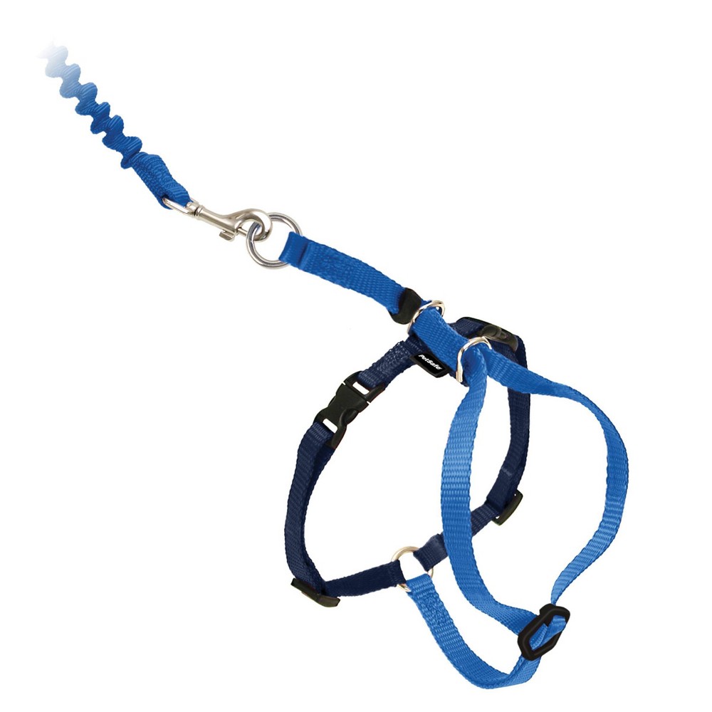Photos - Collar / Harnesses PetSafe Come with Me Kitty and Bungee Adjustable Leash Cat Harness - S - B 