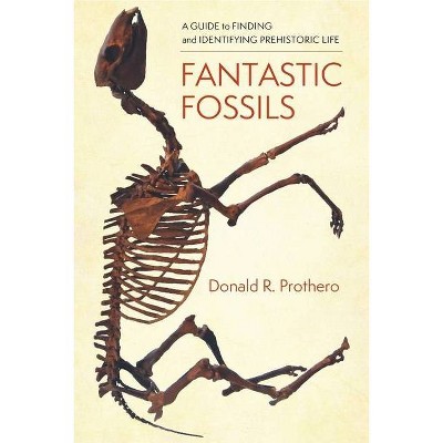 Fantastic Fossils - by  Donald R Prothero (Hardcover)