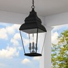 Livex Lighting Exeter 3 - Light Pendant in  Black - 3 of 4