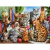 2000 Piece Jigsaw Puzzle, House of Cats, Happy Cats, Pets, Animals, Cats and Kittens, Adult Puzzles, Castorland C-200726-2 - 2 of 4
