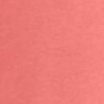 sweet coral