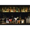 Bormioli Rocco Bartender Novecento Nick & Nora Glass - Set of 4 - 3 of 4