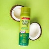 ORS Olive Oil Nourishing Sheen Spray - 11.7oz - image 4 of 4