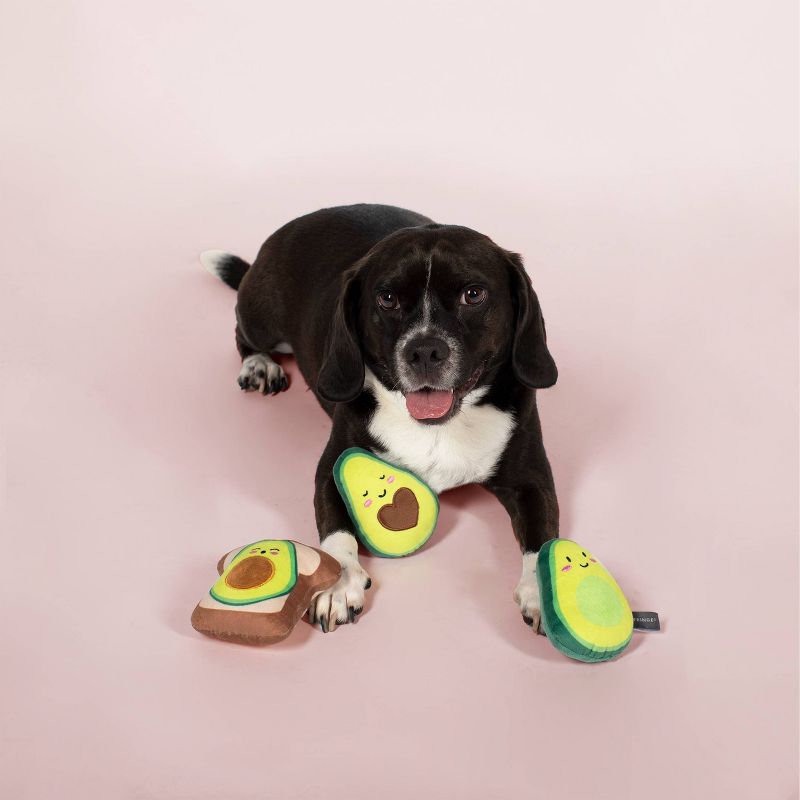 PetShop by Fringe Studio Avocado Set Dog Toys - 3pk, 3 of 5