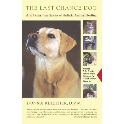 The Last Chance Dog - by  Donna Kelleher (Paperback)