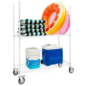 Shelving.com 2-Tier Wire Pool Cart - 18"d x 48"w x 64"h - 1 of 2