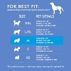 Simple Solution Disposable Dog Diapers for Female Dogs - Pack of 12 (Medium) - 2 of 3
