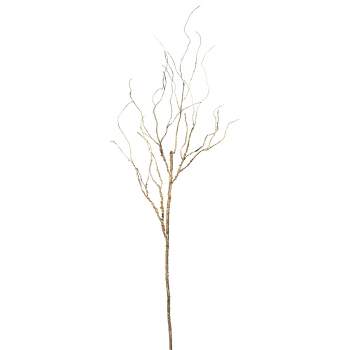 SOUJOY 100 PCS Birch Twigs for Vase, 16 Inch Natural Dried Birch Branches,  Craft Decoration Birch Stick for DIY, Centerpieces, Home, Office, Wedding