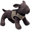 The Worthy Dog Sidekick Harness Vest - 3 of 3