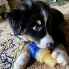 Cool Pup Cooling Toy Ice Cream - Blue (Mini) - image 3 of 4