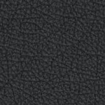 minnesota golden gophers