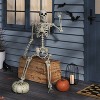 15.5" Poseable Bone Skeleton Halloween Decorative Prop Off-White - Hyde and EEK! Boutique™ - 2 of 3
