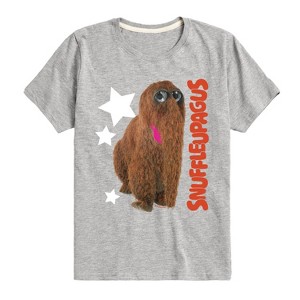 Boys' - Sesame Street - Snuffleupagus Photo Short Sleeve Graphic T-Shirt - 1 of 4