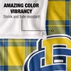 South Dakota State University Campus Plaid Spirit Silky Touch Super Soft Throw Blanket 50x60 - 4 of 4