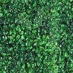 boxwood hedge siding set of 12 24*16 inches