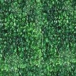 boxwood hedge siding set of 12 20*20 inches