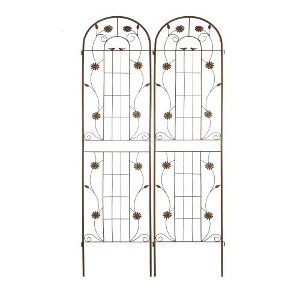 ACEPANO 40 in. W 2-Piece Outdoor Rust-Proof Metal Garden Trellis for Climbing Plants-Brown - 1 of 4