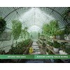 AMERLIFE 20x10x7 FT Greenhouse with Watering System, 12 Windows, Swing Door, Galvanized Frame, Green - 2 of 4