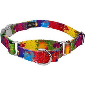 Country Brook Petz Martingale Dog Collar with Premium Buckle - Groovy Collection - 1 of 4