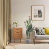 42 Inch Artificial Cactus Plant, Faux Desert Cacti Potted Plant with Fruit, Realistic Fake Cacti Saguaro for Home Garden Office Indoor Outdoor Decor - 4 of 4