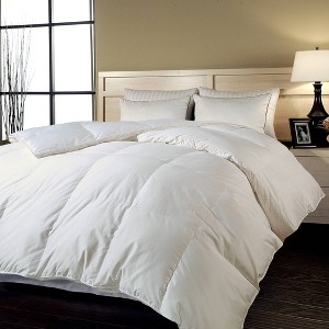Full/Queen 700 Thread Count Naples Down Alternative Comforter White - Blue Ridge Home Fashions