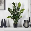 Nearly Natural 3-ft Zamioculcas Artificial Plant - 2 of 3
