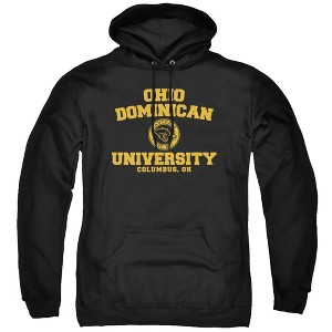 Ohio Dominican University Official Circle Logo Adult Pull-Over Hoodie - 1 of 4