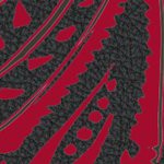 tampa bay buccaneers