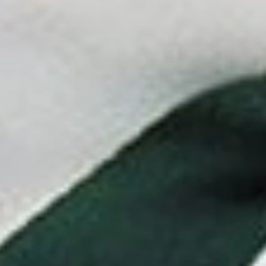forest green and white