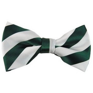 Men's 2.75 W And 4.75 L Inch With Pre-Tied College Stripe Bowtie - 1 of 3