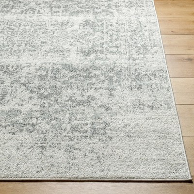 Amelia Charcoal and Light Gray Synthetic Runner Rug 2'7" x 7'3"