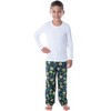 Nickelodeon Boys' Teenage Mutant Ninja Turtles Tmnt Character Pajama Pants  Black : Target