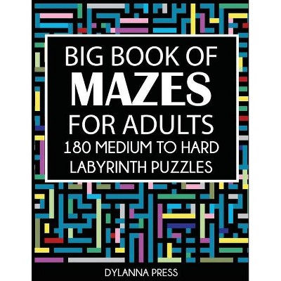 Big Book of Mazes for Adults - by  Dylanna Press (Paperback)