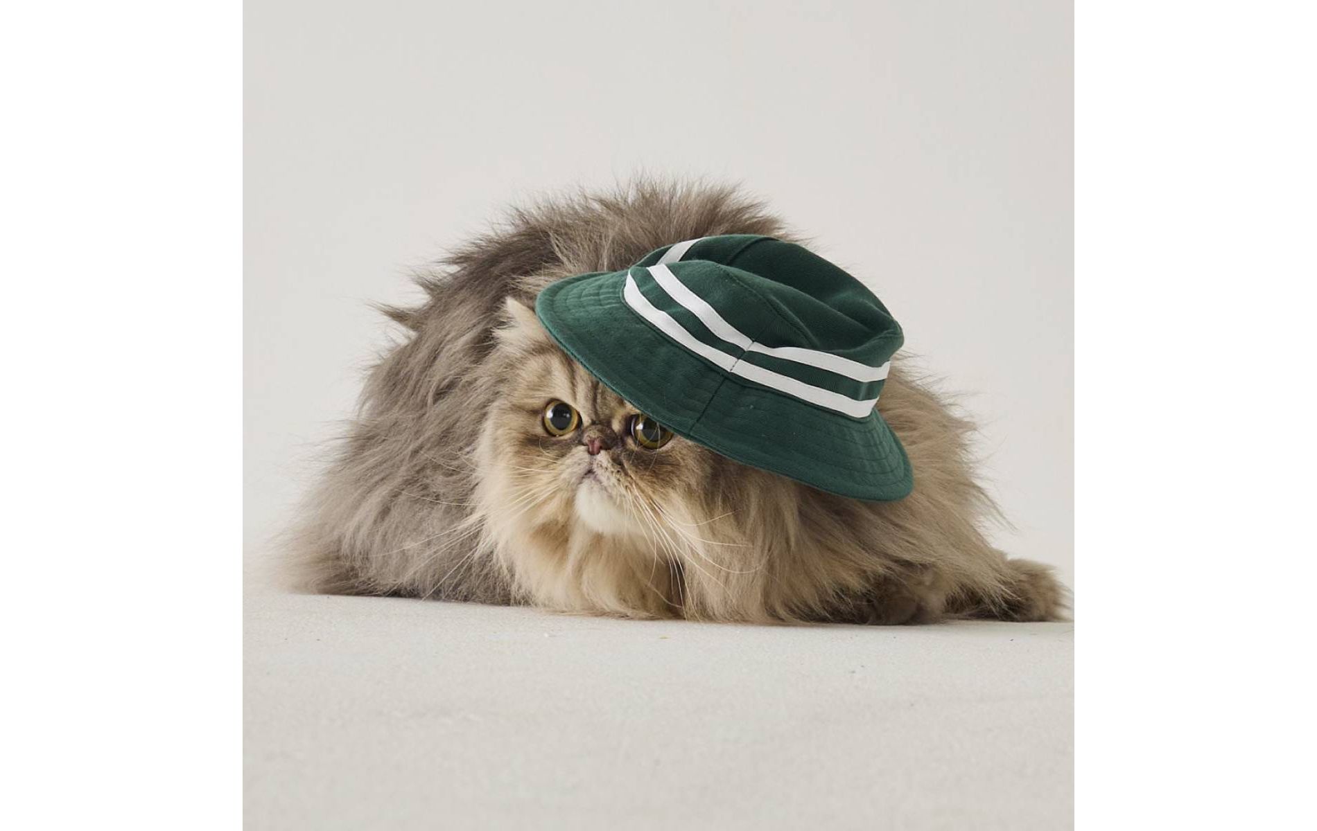 Hooray House Golf Hat - Green
