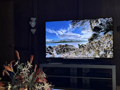 Guest review image 1 of 1, zoom in