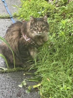 Guest review image 1 of 6, zoom in