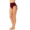 Coppersuit - Women's Banded High Waist Swim Bottom - 3 of 4
