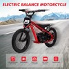 Electric Dirt Bike for Kids Ages 6-12, 250W Electric Balance Bike, 15.5MPH Max Speed & 3 Speed Settings, 24V/5.2AH Battery - 2 of 4