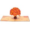 Paper Love 3D Pop-Up Greeting Card, with Envelope and Note Tag - 4 of 4