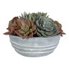 Uttermost Peoria Succulent Accent - 4 of 4