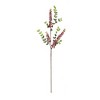 Burgandy Berry Foliage Spray (Set of 6) - 3 of 3