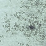 farmhouse gray