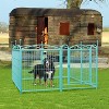 32 inch 8 Panels Metal Dog Pen Pet Dog Fence Outdoor Exercise Pen with Doors Blue - 4 of 4