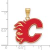 Black Bow Jewelry 14k Yellow Gold Plated Sterling Silver Calgary Flames NHL Large Pendant - 2 of 3