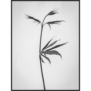 32" x 42" Amid The Flowers 65 by Teis Albers Framed Canvas Wall Art Print - Amanti Art: Modern Lithograph, Vertical Layout - 1 of 4
