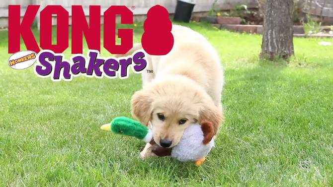 KONG Shakers Honkers Duck Dog Toy - S, 2 of 5, play video