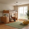 Nourison Plush Shag Indoor Rug - 2 of 4